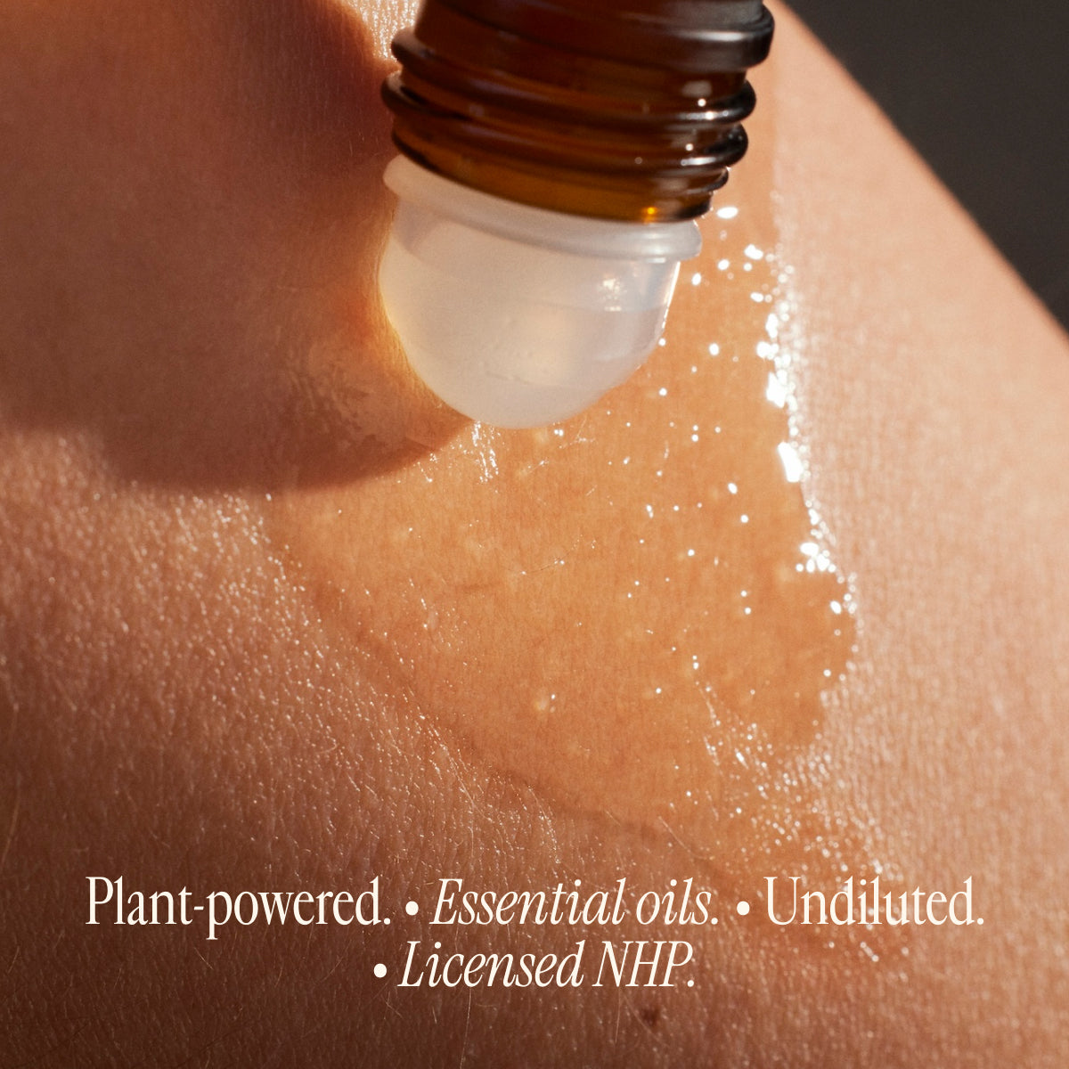 Arrive Revived