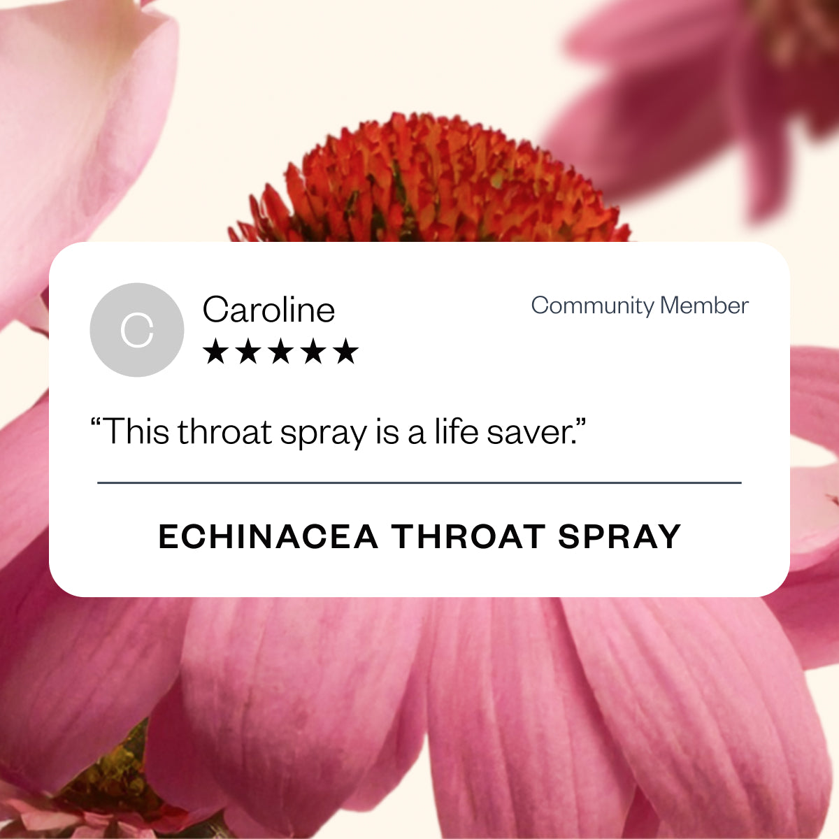 Echinacea