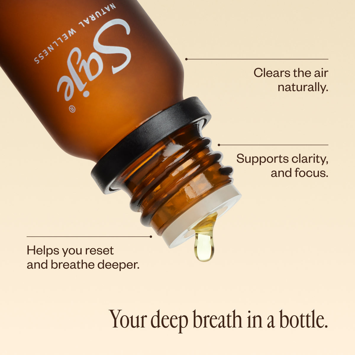 Eucalyptus Oil