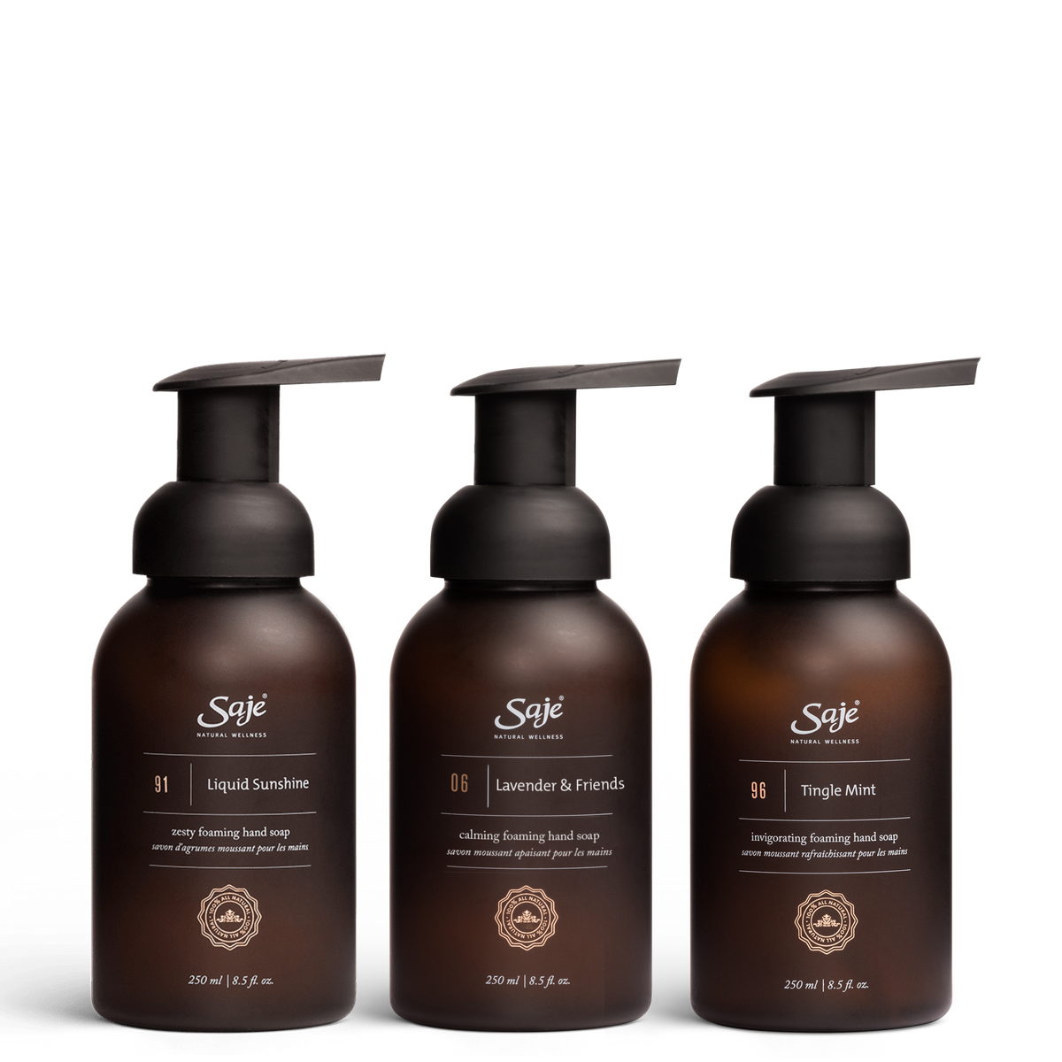 Foaming Hand Soap Trio