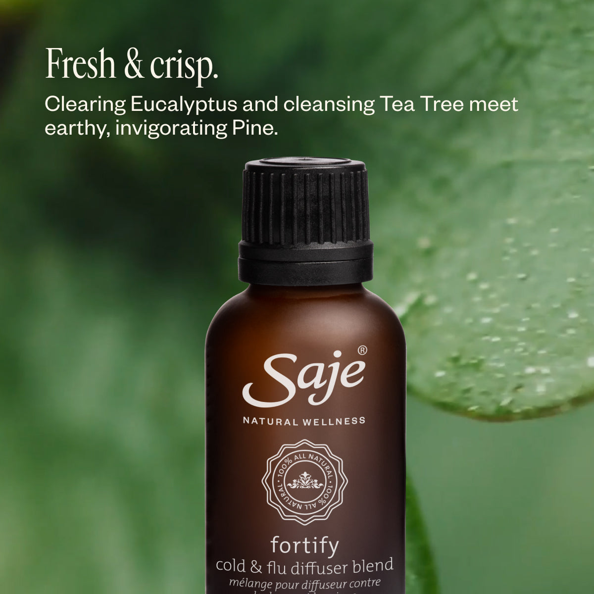 Fortify