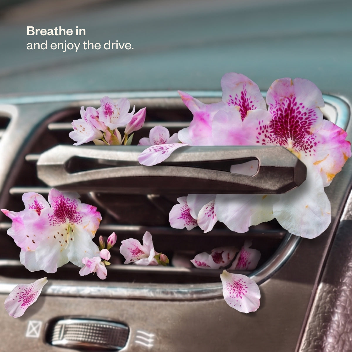 Drive Blissfully