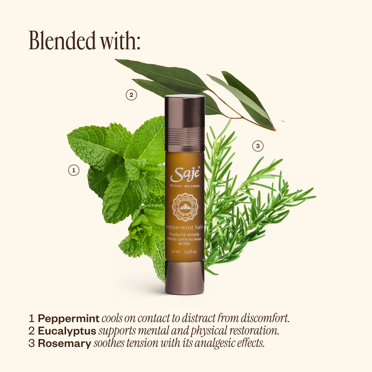 The Best-Selling Roll-On Duo