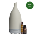 Best-Seller Discovery Set