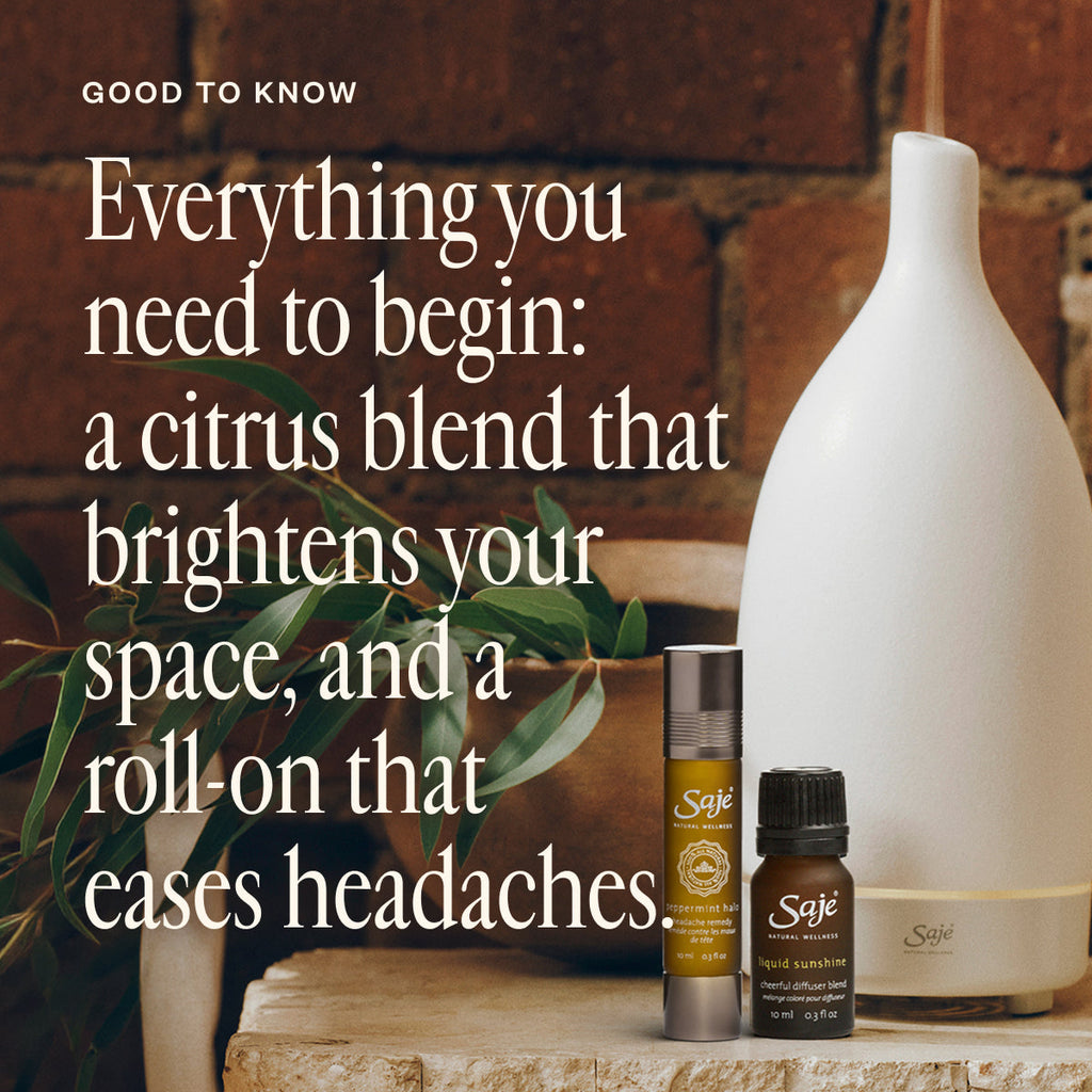 Best-Seller Discovery Set