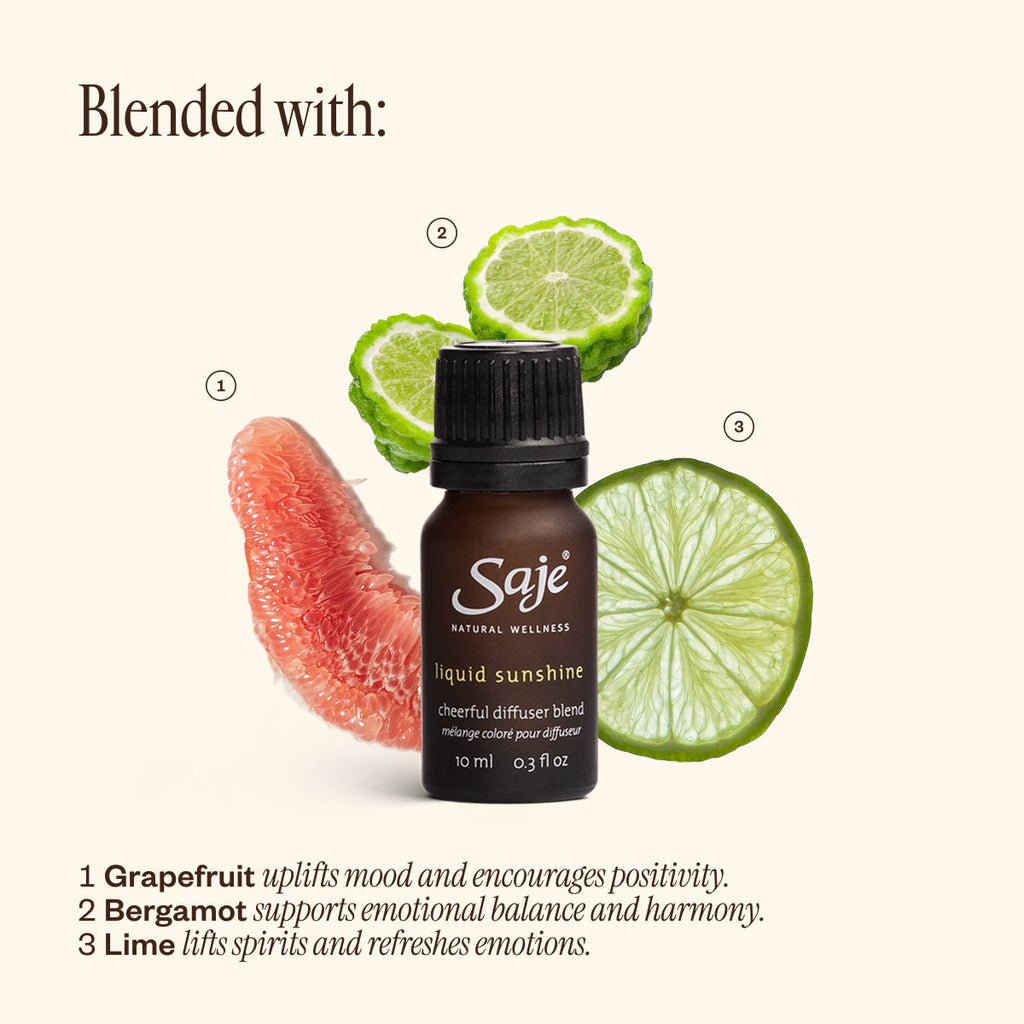 Best-Seller Discovery Set