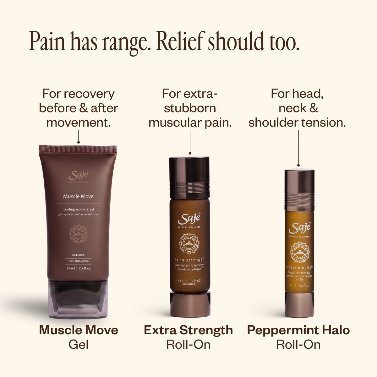 Pain & Recovery Toolkit