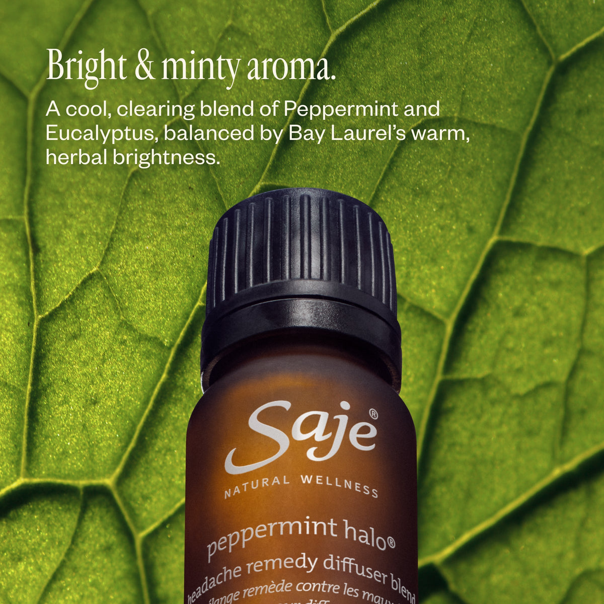 Peppermint Halo