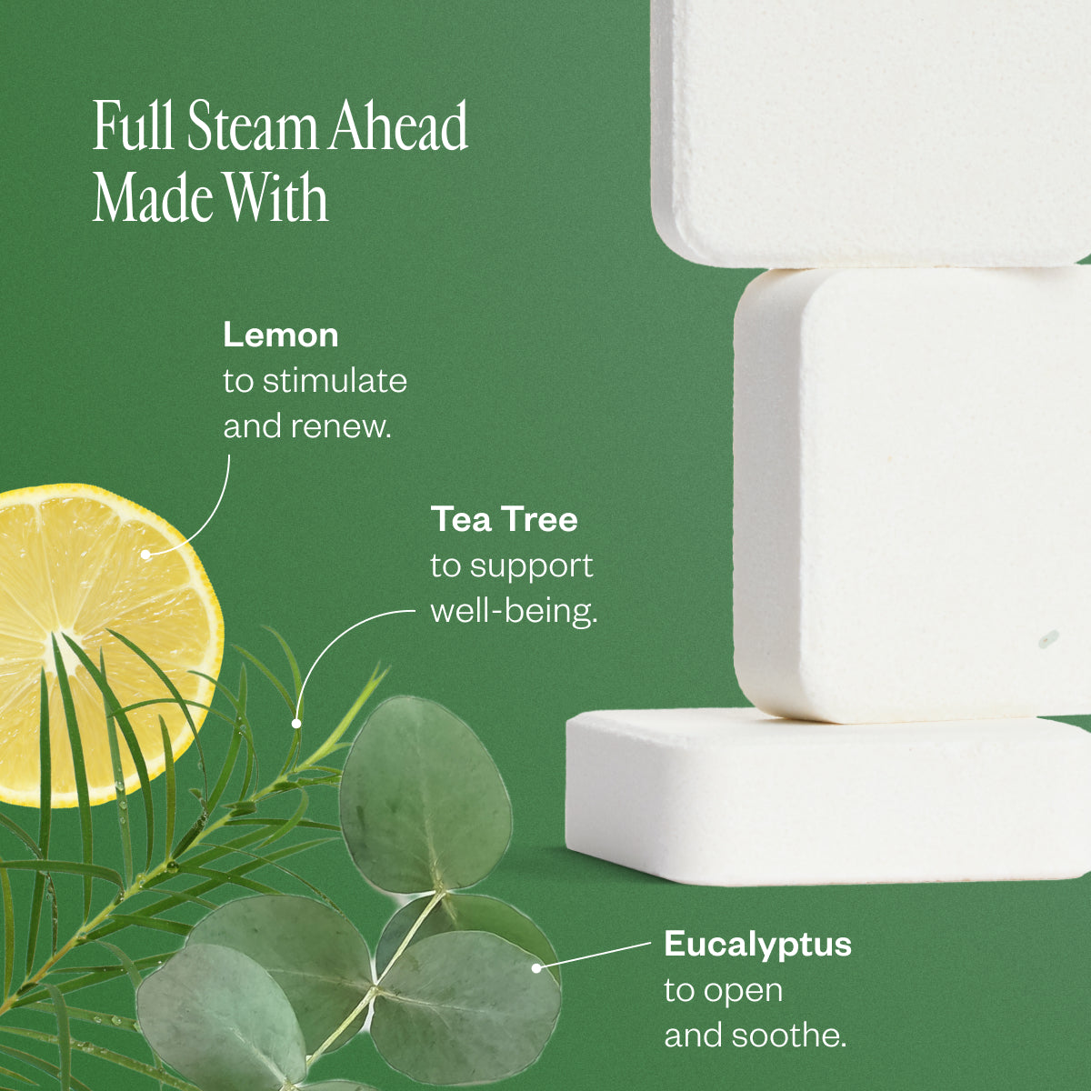 Shower Steamer Collection