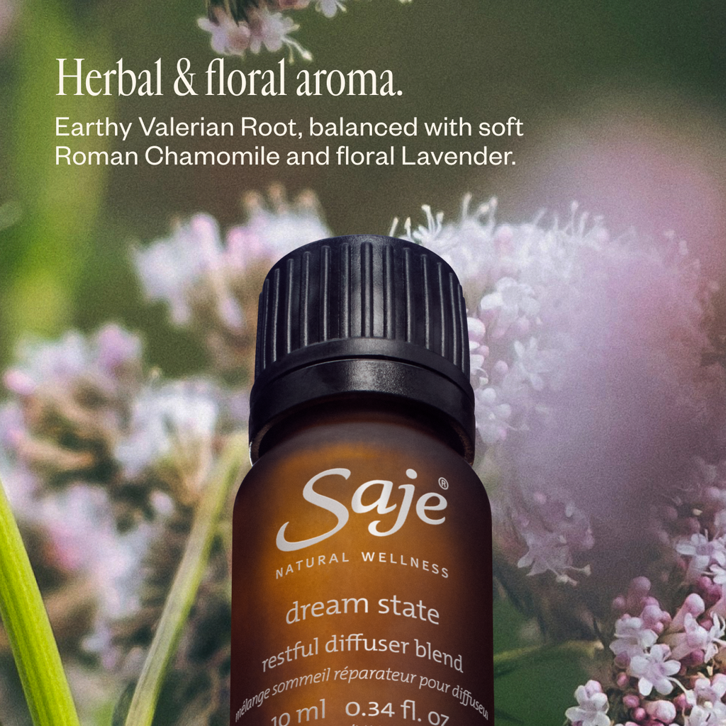Slumber Party Diffuser Blend Trio