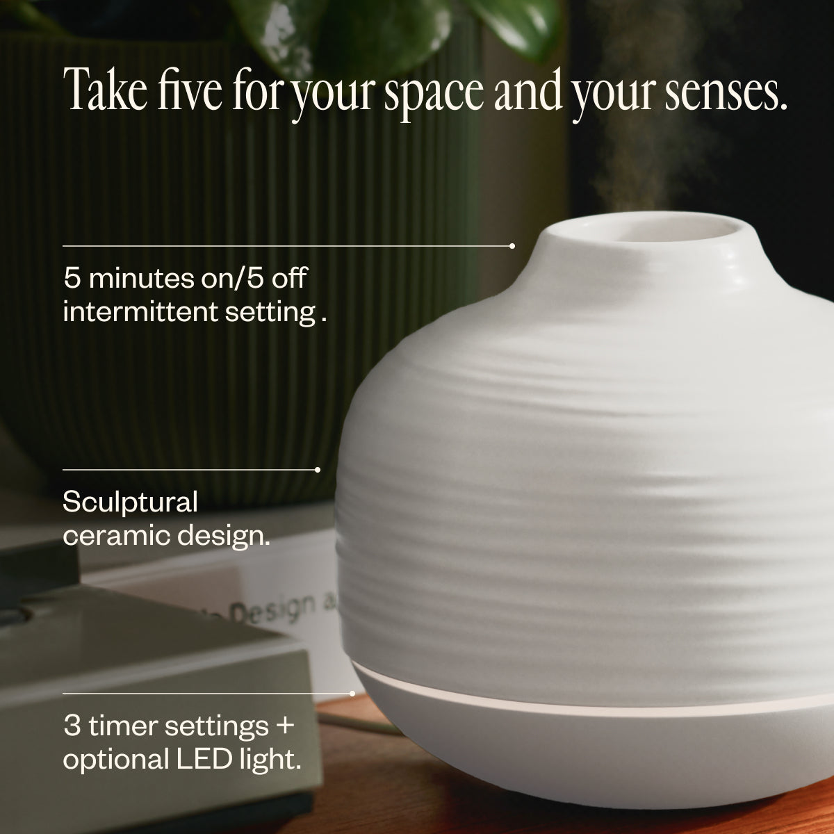 The Cocoon Collection | White