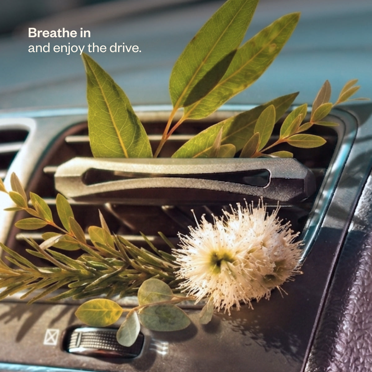 Drive Revived
