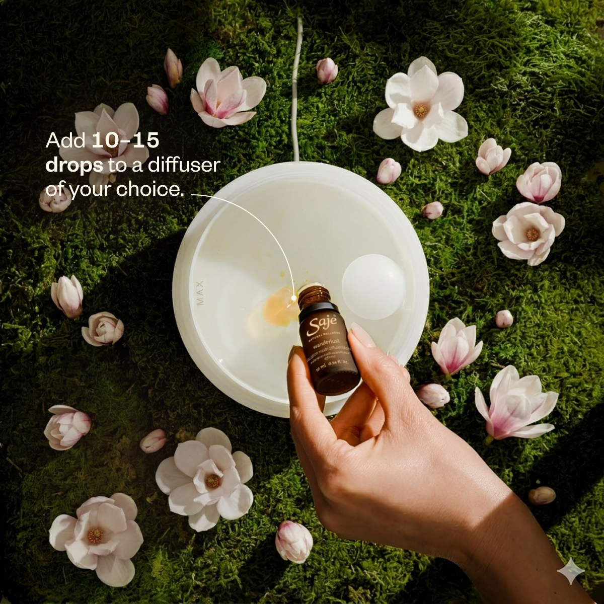 Wanderlust Diffuser Duo