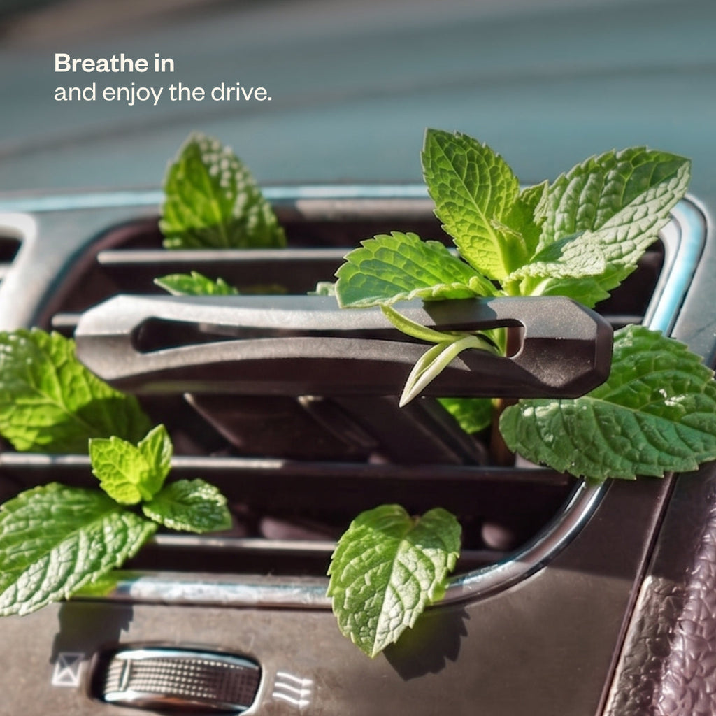 Drive Refreshed