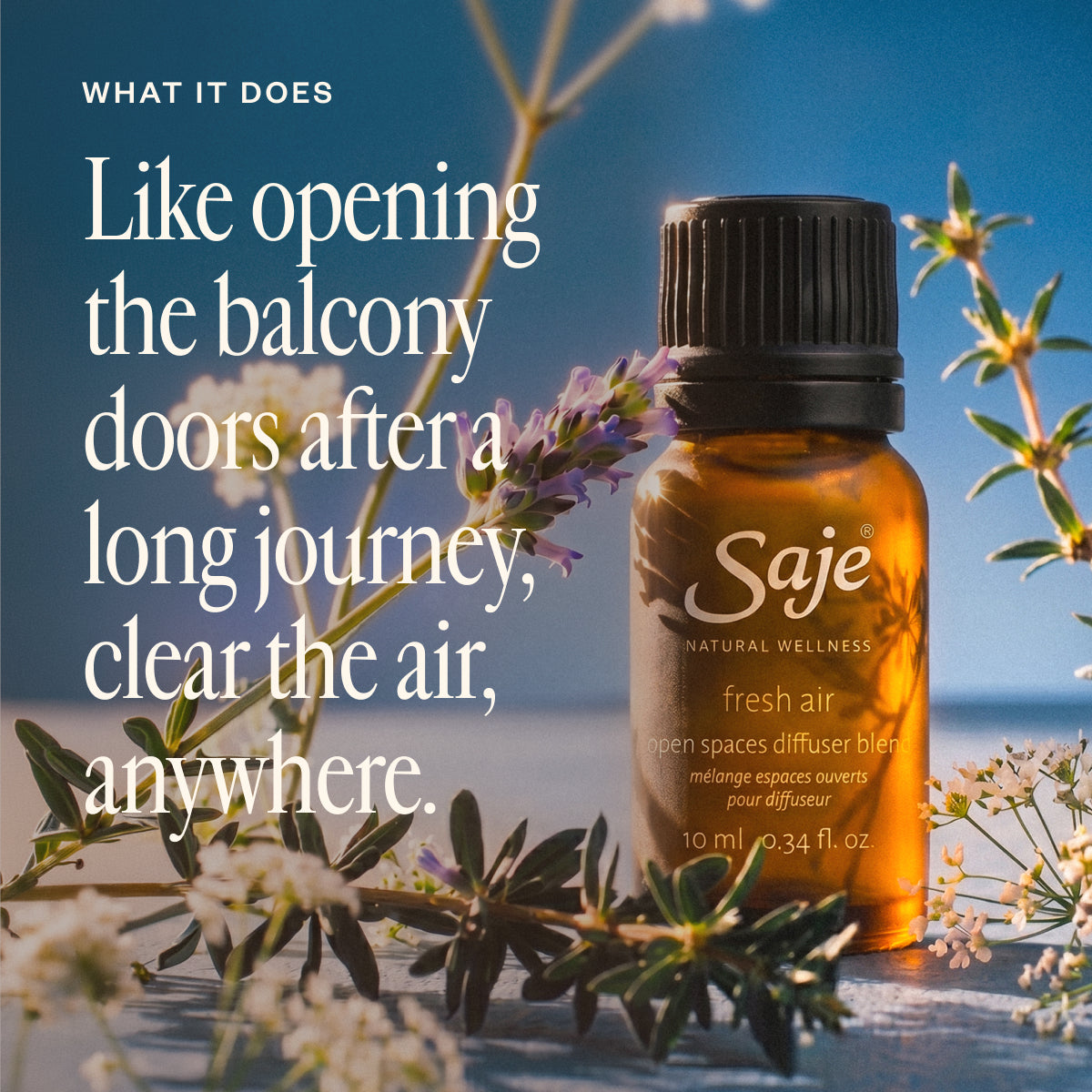 Aromas & Departures