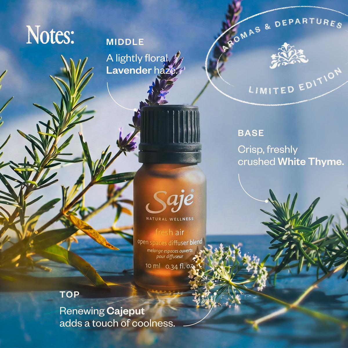 Aromas & Departures