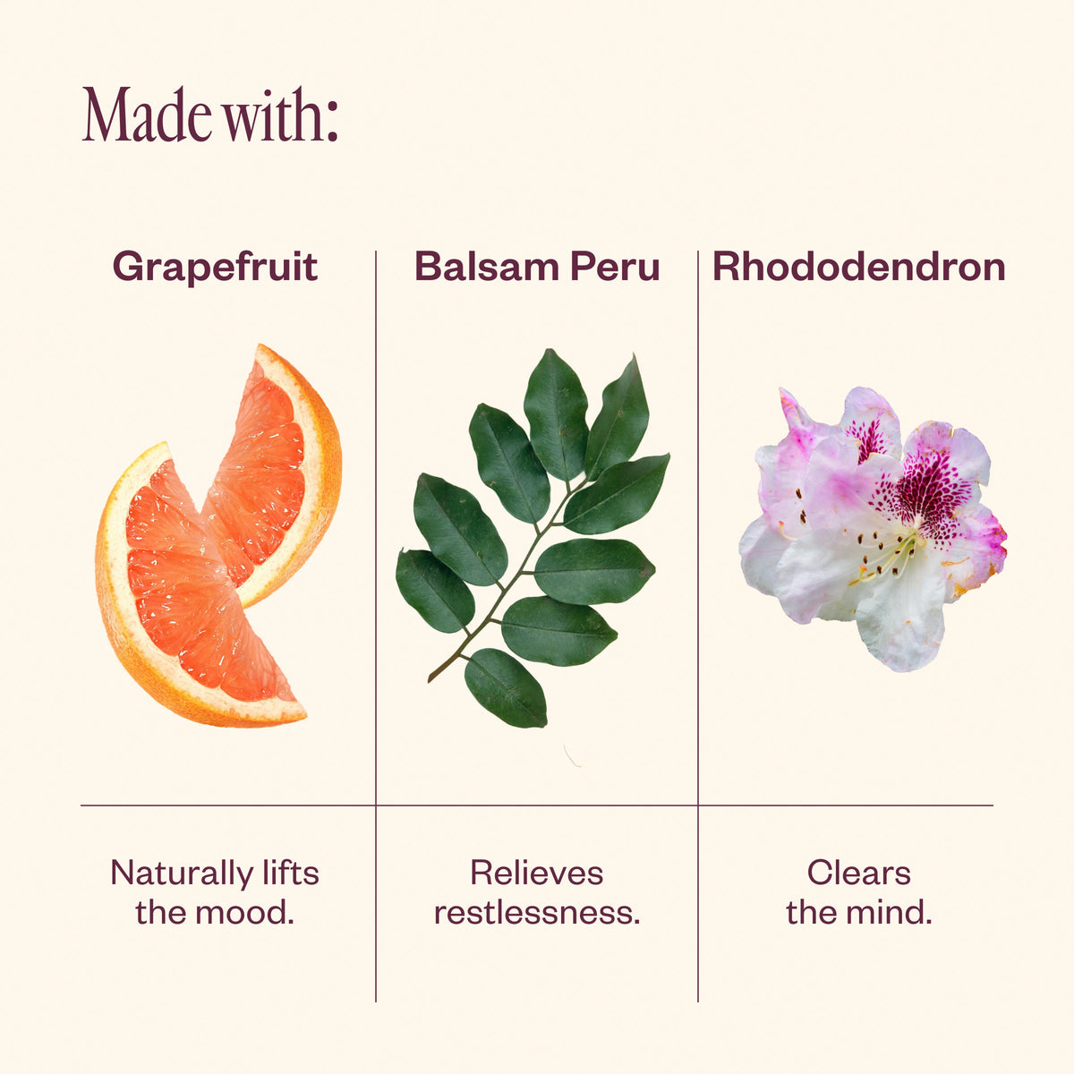 Bloom Bliss