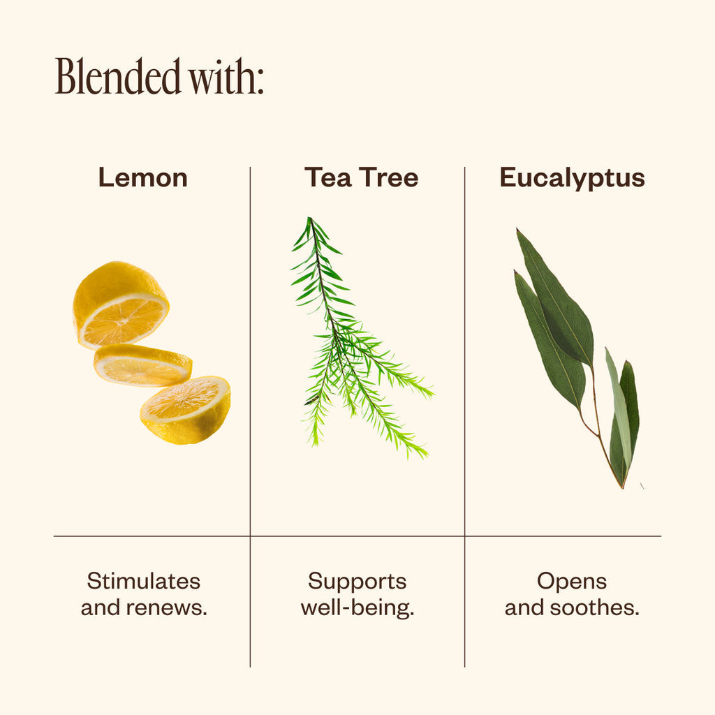 Zest Set