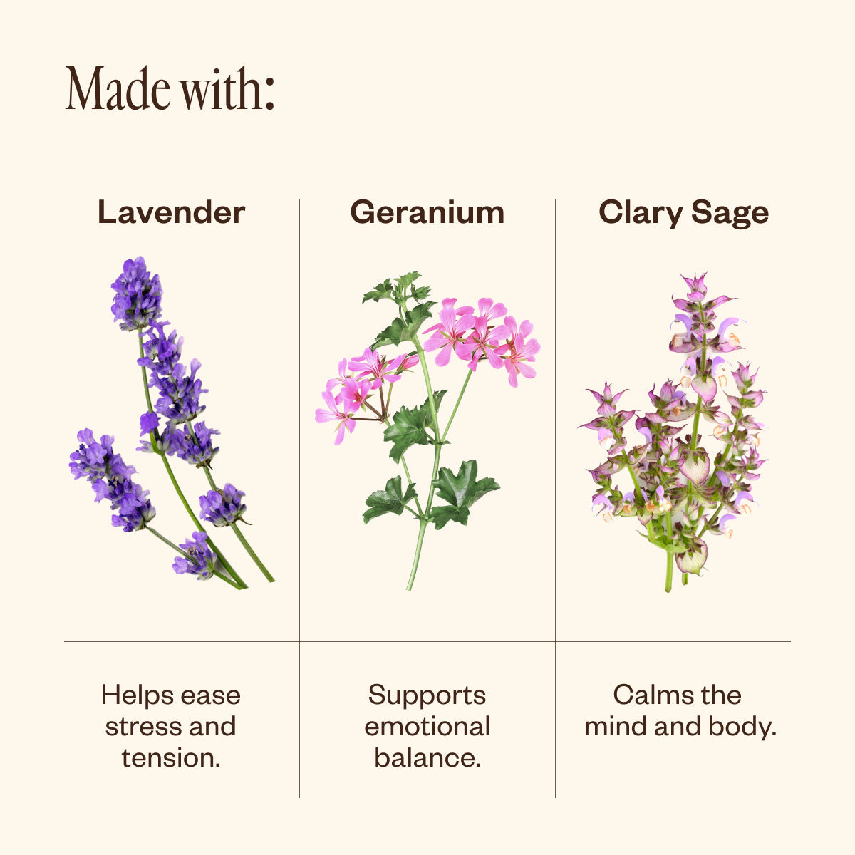 Lavender & Friends Cloud Wash