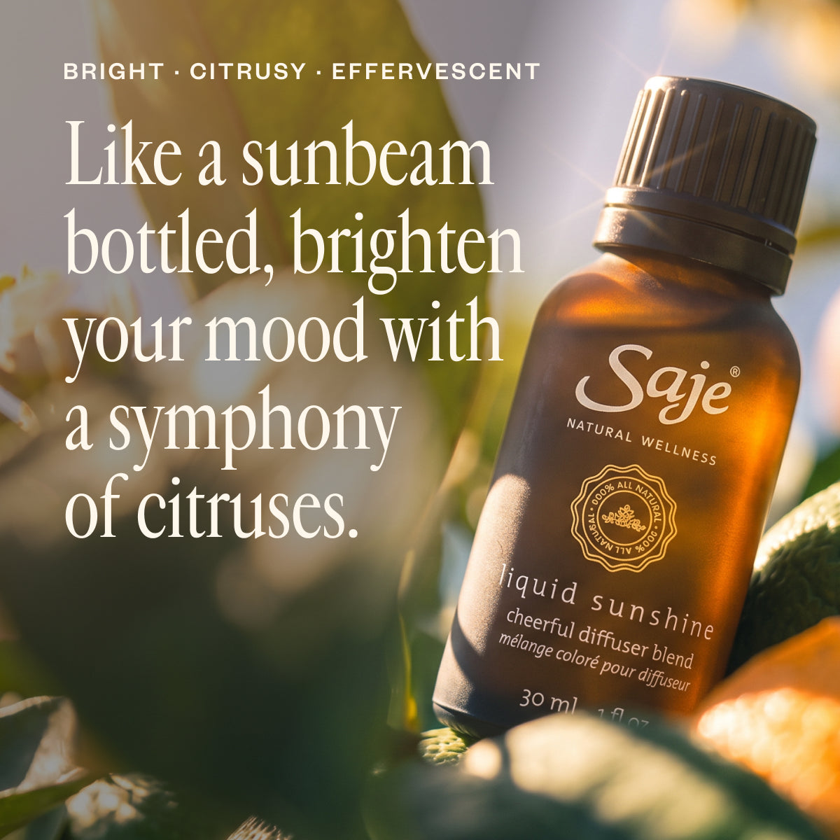 Liquid Sunshine®