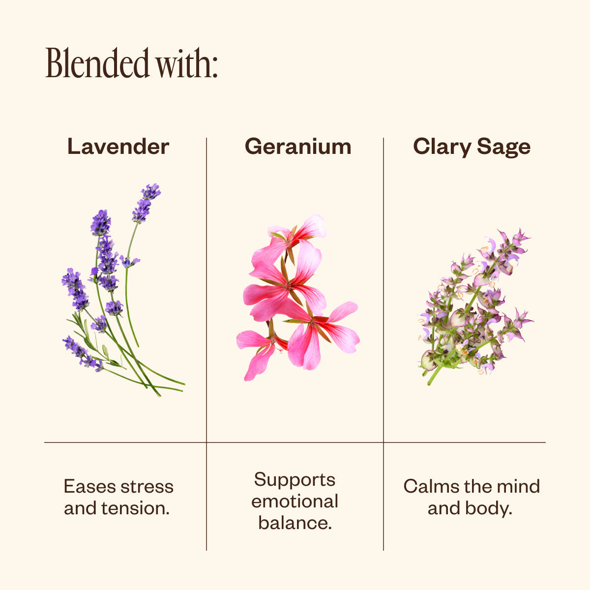 Lavender & Friends Trio