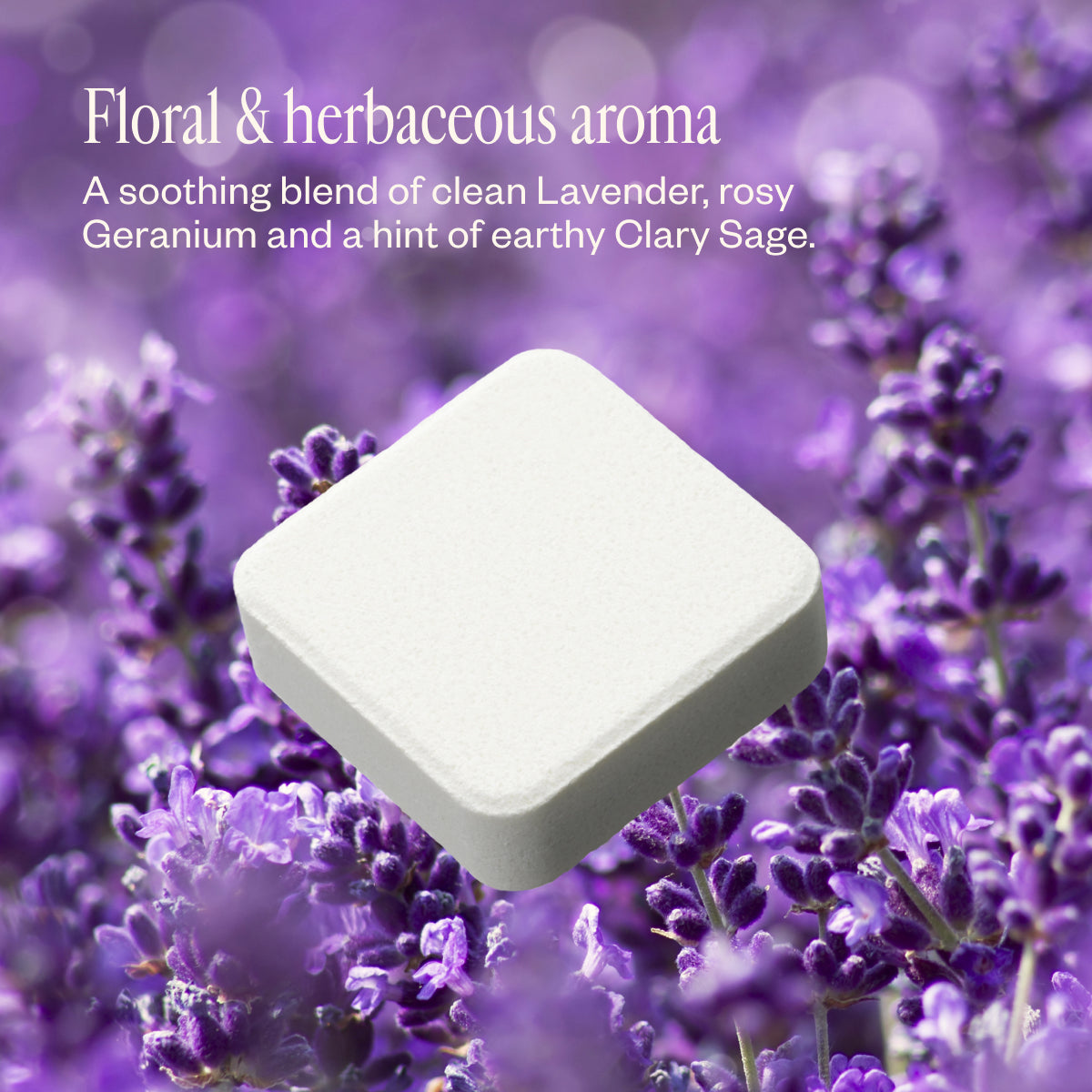 Lavender & Friends Trio