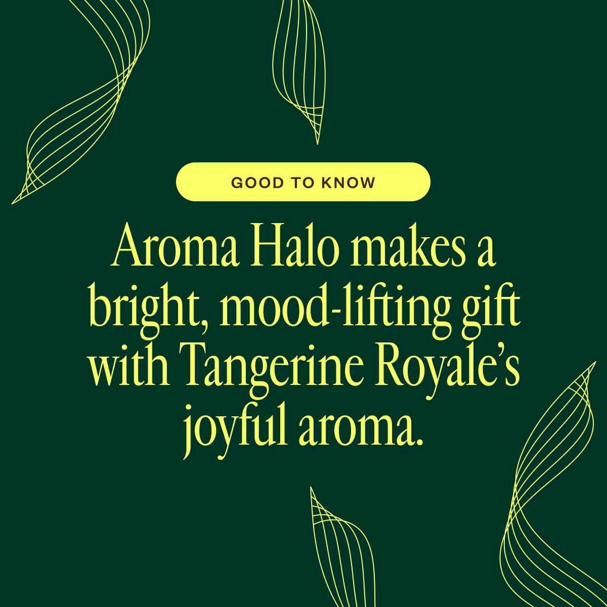 Aroma Halo & Tangerine Royale