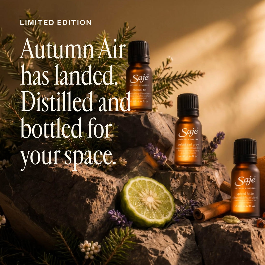 Autumn Air Collection