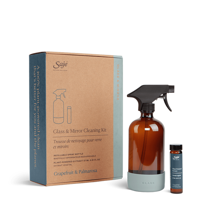 Glass and Mirror Cleaning Kit