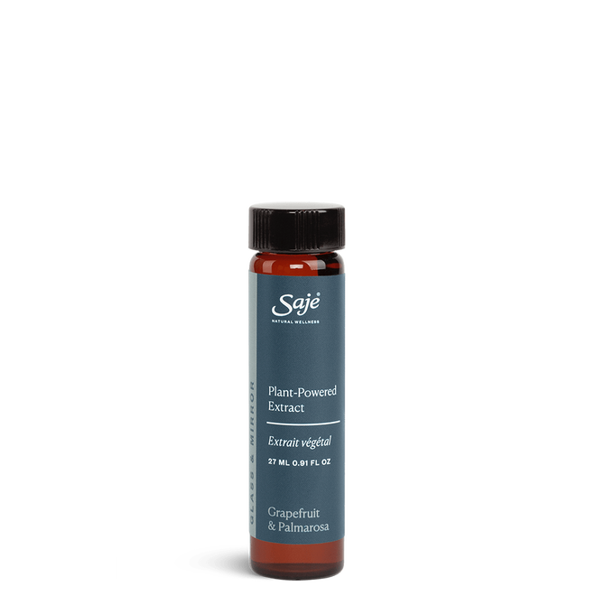 Glass and Mirror Cleaning Refill